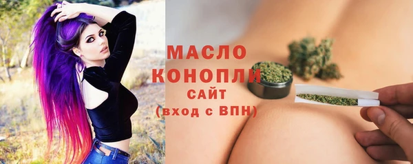 сатива Каменка
