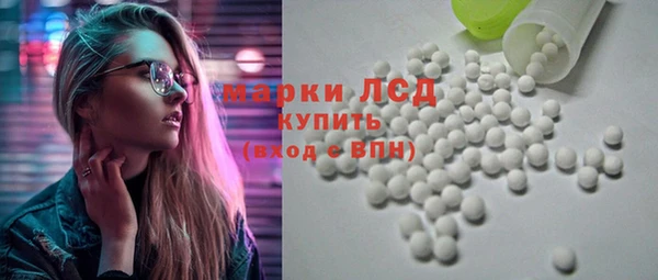 сатива Каменка