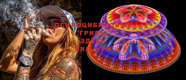 сатива Каменка