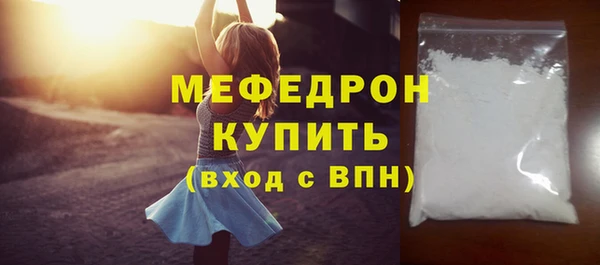 сатива Каменка