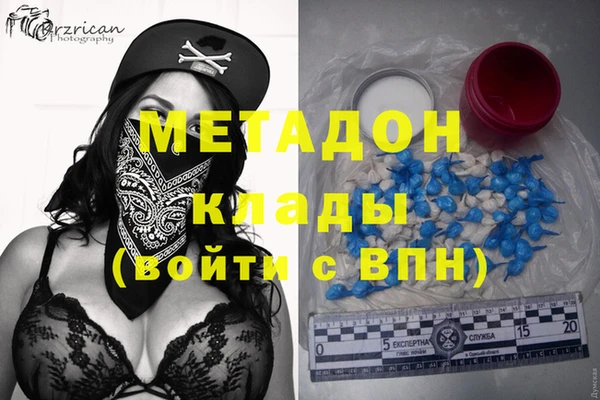 сатива Каменка