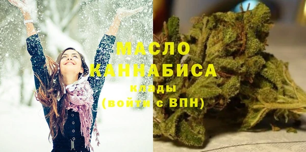 сатива Каменка