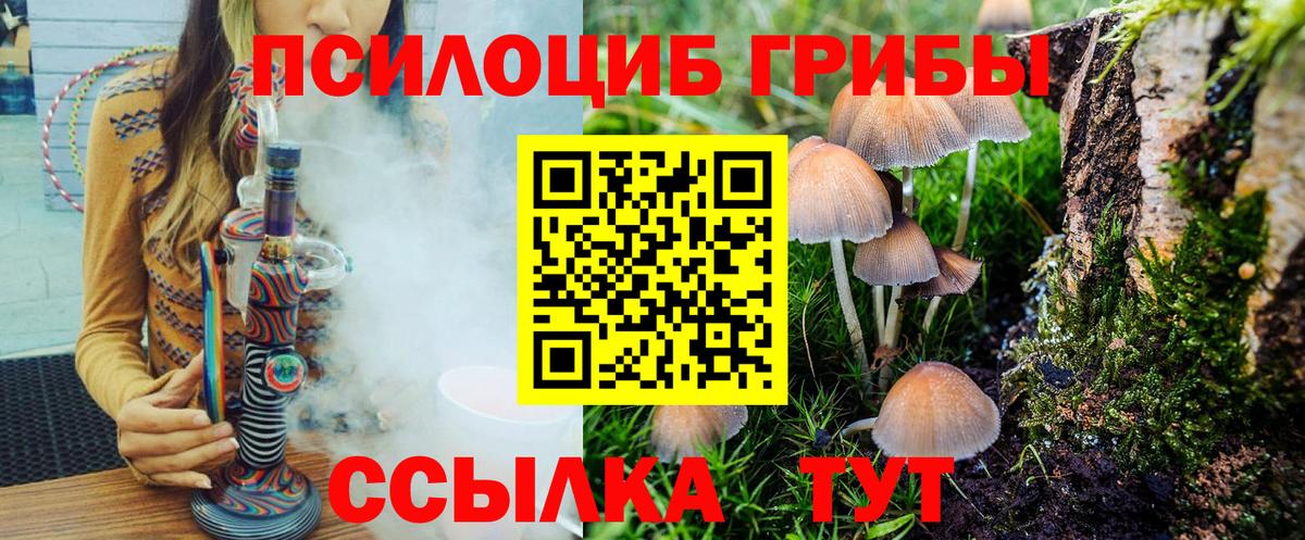 Кашира  Псилоцибиновые грибы Cubensis  Вход с VPN 